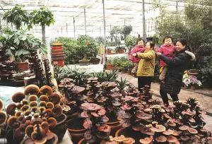 游玩攻略赶紧收藏,怎么收藏自己旅游过的地方