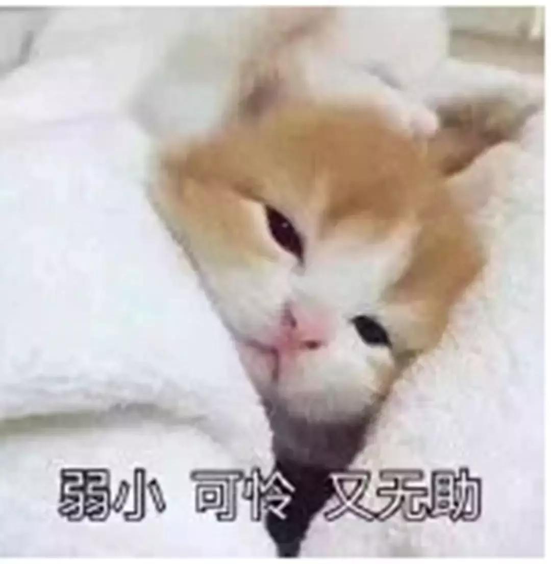 迪拜帆船酒店普通房间,回忆迪拜帆船酒店