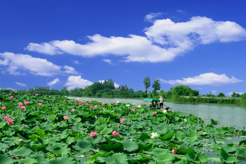 湖北监利县人口,湖北省监利人口