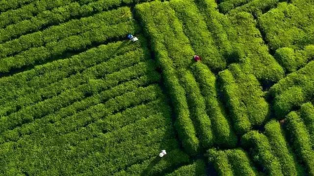 南昌附近小众露营看日出日落,南昌到广州自驾游有哪些景点好玩