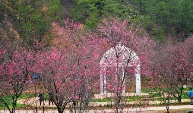 请到广东过大年2017,2018请到肇庆过大年