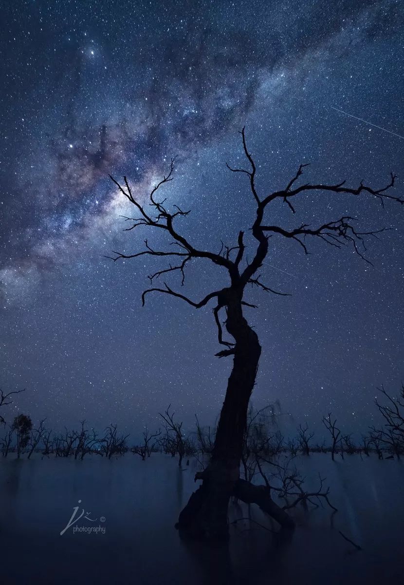 关于构图的照片,关于构图问题