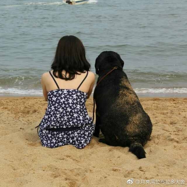 狗狗幼犬时期的腹泻原因分析及治疗办法