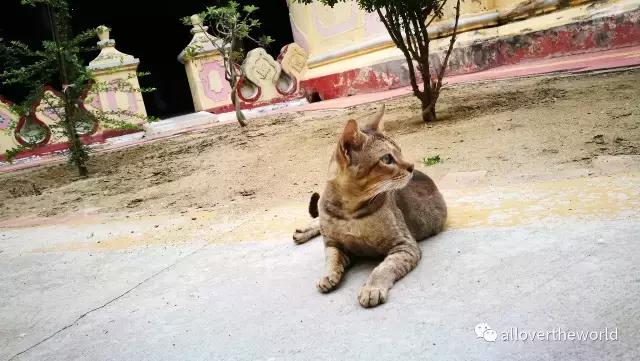 独行于缅甸,一瞥这众神国度