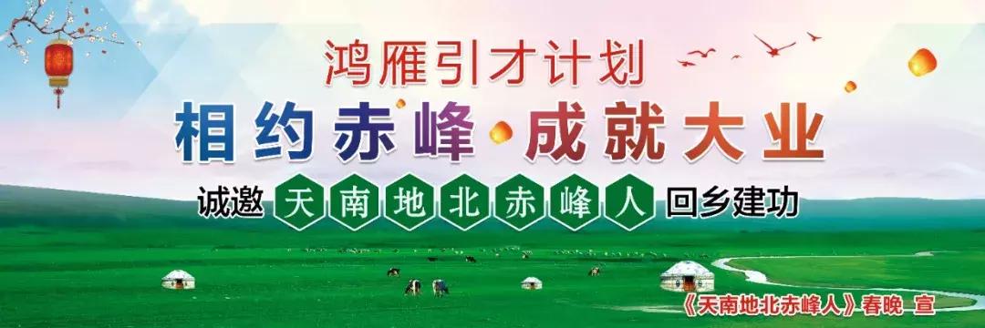 2020天南地北赤峰人,天南地北赤峰人视频