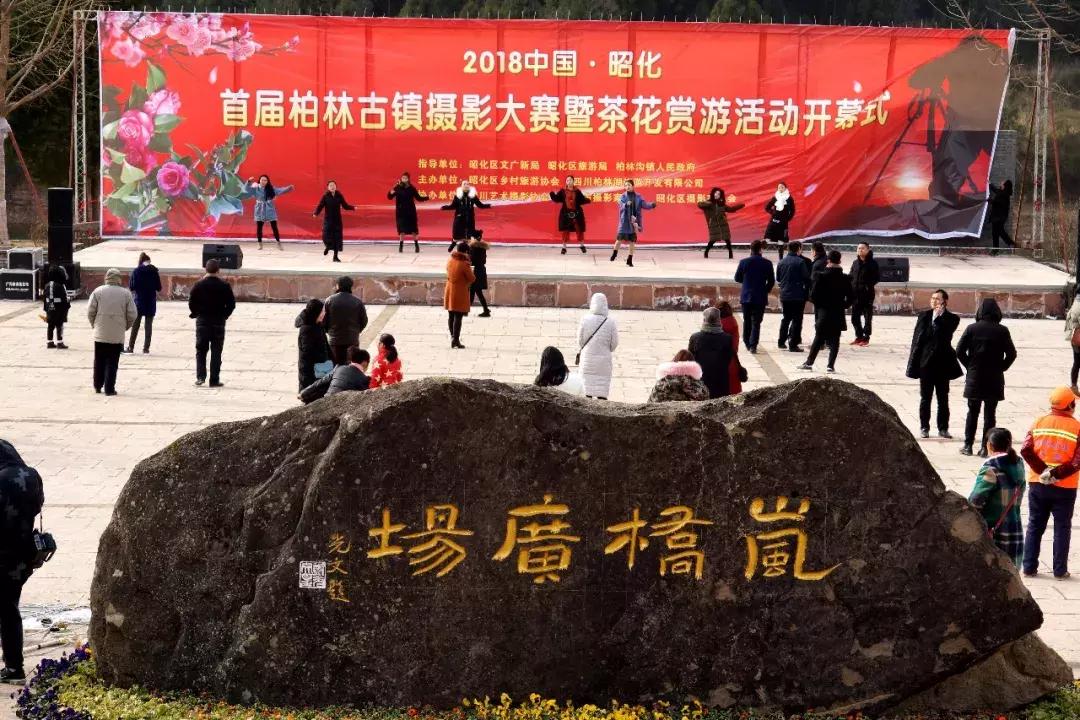 广元市柏林樱花节,广元柏林大型樱花节