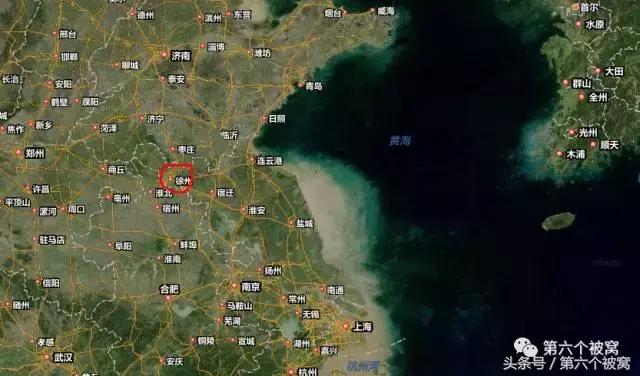 治枸杞白粉病最好的特效药,枸杞白粉病最快的治疗方法