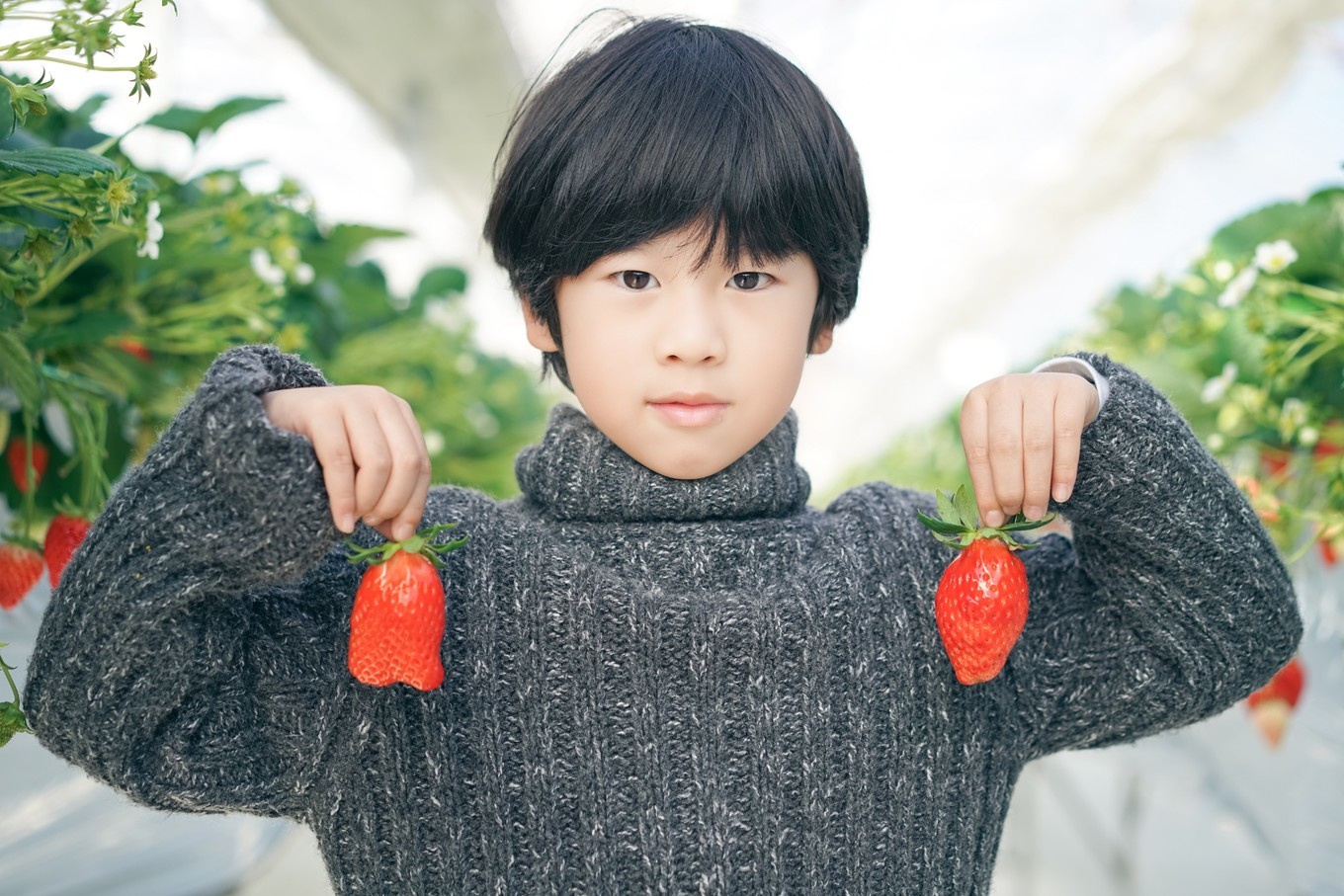 handycam,handycam亲子游