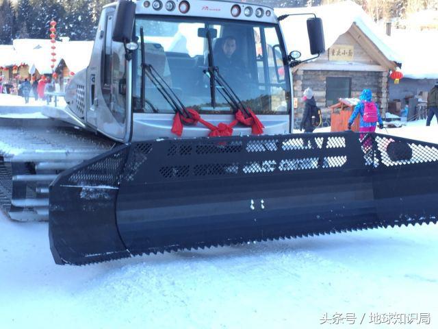 小白鲸的东北之旅｜地球知识局