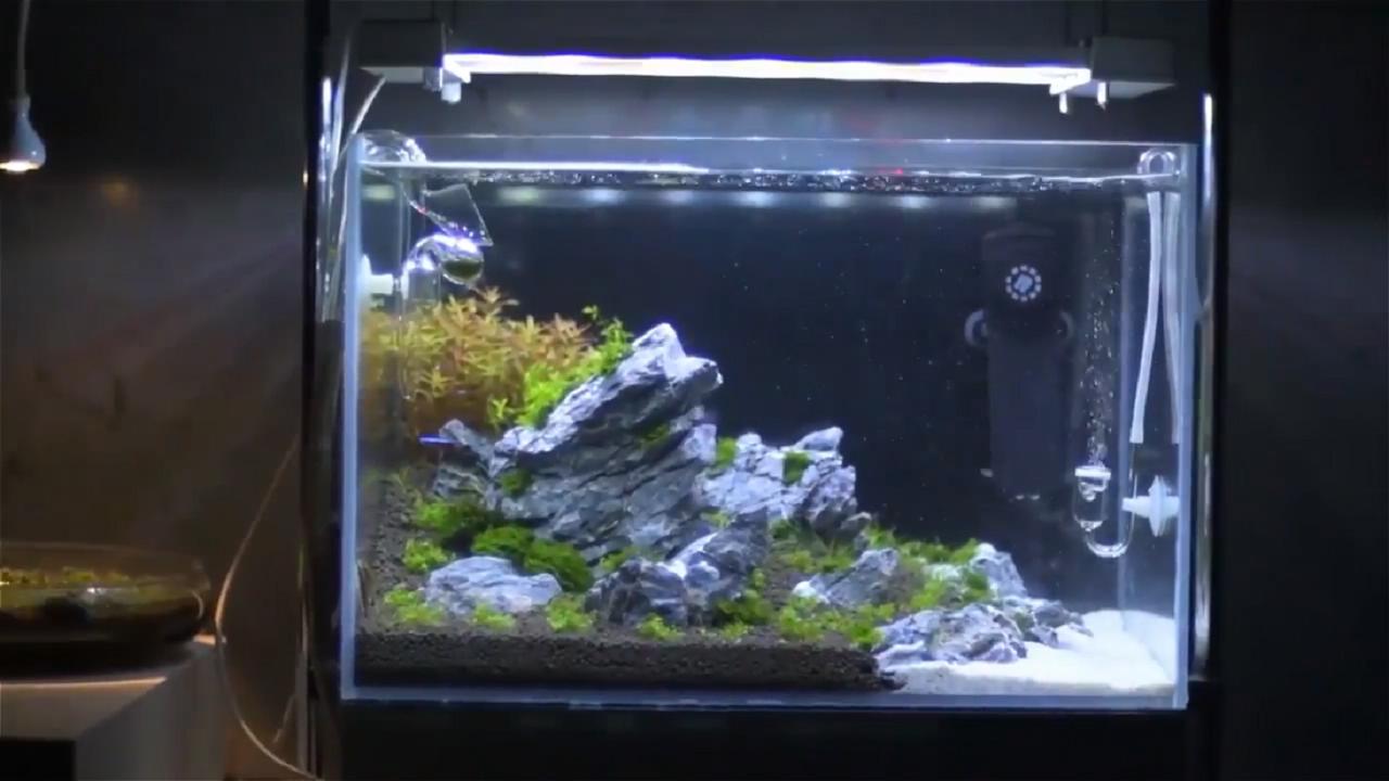 鱼缸景观搭建图解,鱼缸景观石制作教程