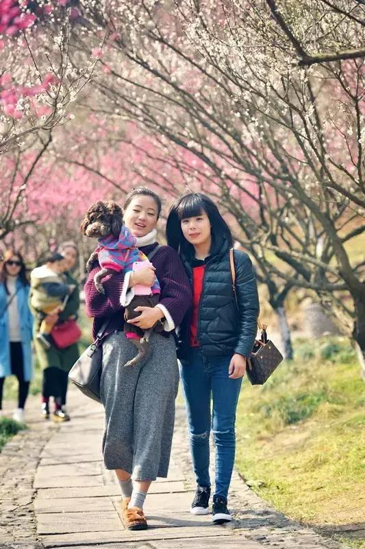 这座浙东港城坐拥最迷人的港湾，早春梅香扑鼻而至，自驾2.5h即达！