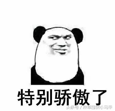 代购骗局和骗术一样吗,一招鉴别假代购