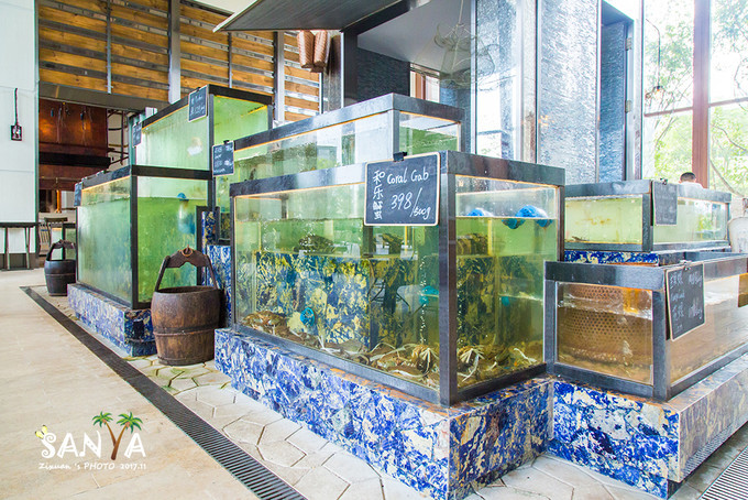 三亚离海南有多少公里,三亚一生去几次