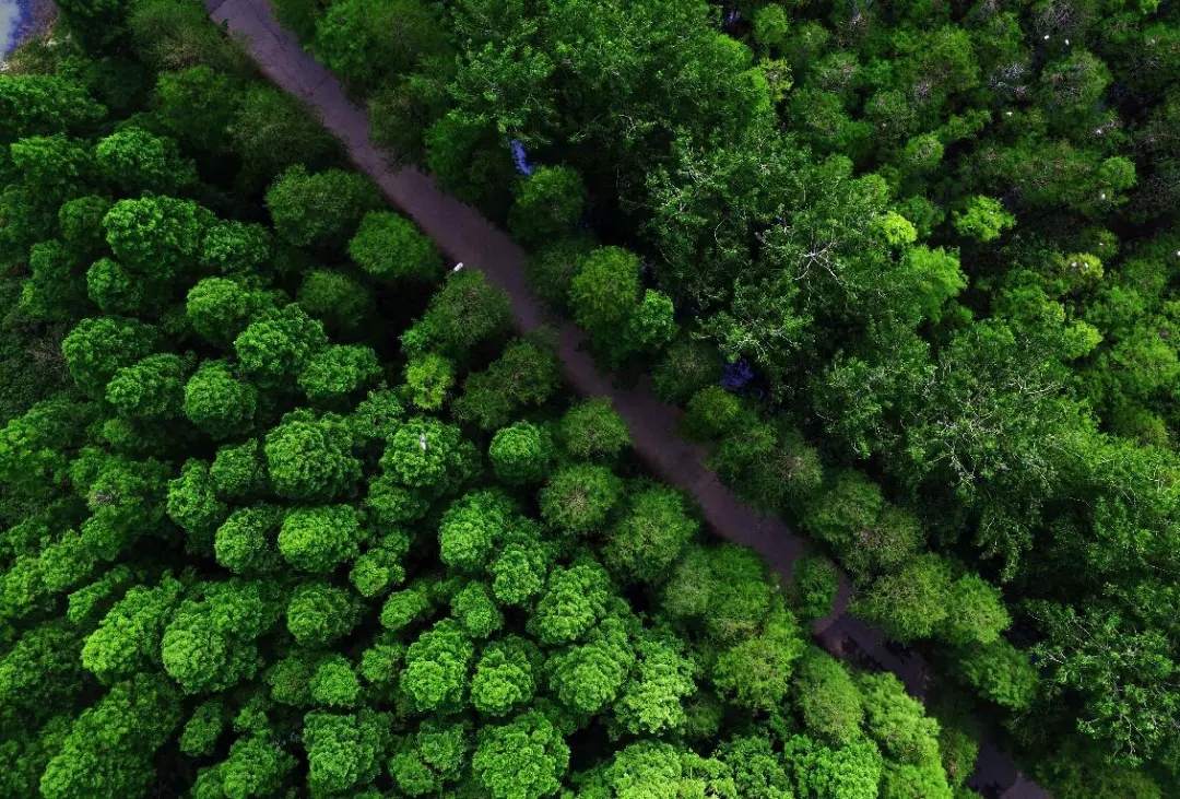 武汉幸福感指数高吗,武汉人最有成就感的事