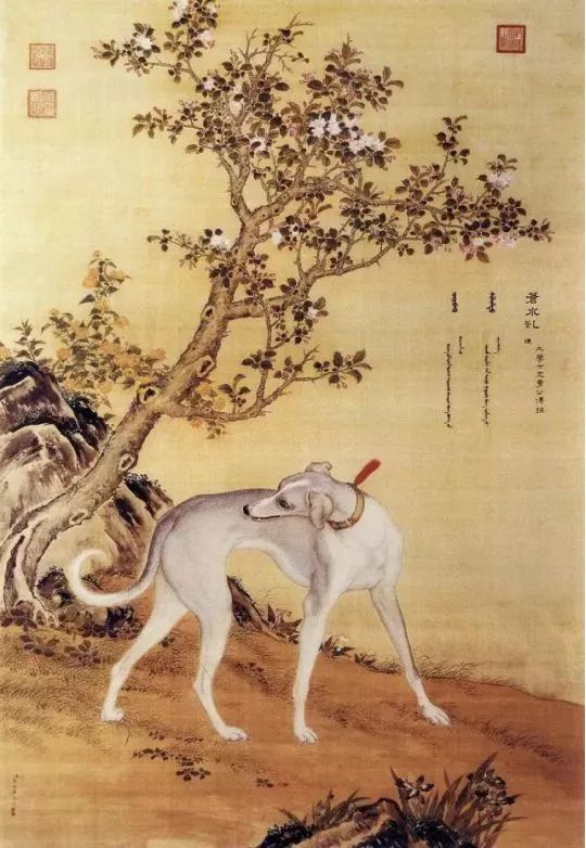 瑞狗迎春金狗纳福,瑞犬纳福2018年