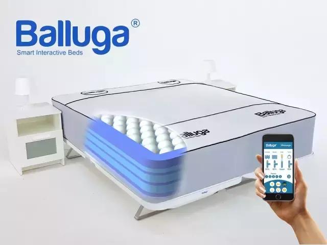 如果我有钱，我一定会把它们都给睡到天荒地老！