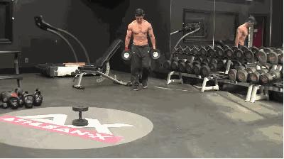 哑铃训练动作大全练全身初学者,哑铃练全身新手哑铃训练计划