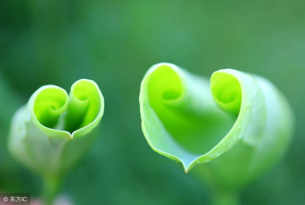 最好的誓言就是一生相伴,陪伴在我身边就是最好的誓言