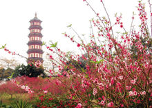 金寨莲花山八景,广州莲花山风景