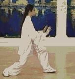 太极二十四式入门基本动作,太极入门学24式吗