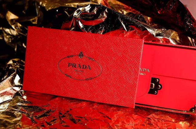 狗年限定,哪家的狗最吸引小仙女注意?万里挑一丨品臻