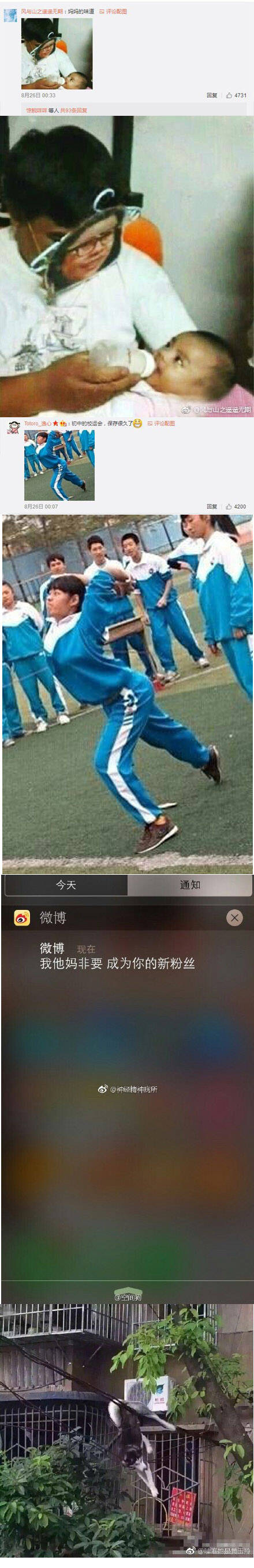 看一遍就忍不住笑的图片,看一遍忍不住笑的图片