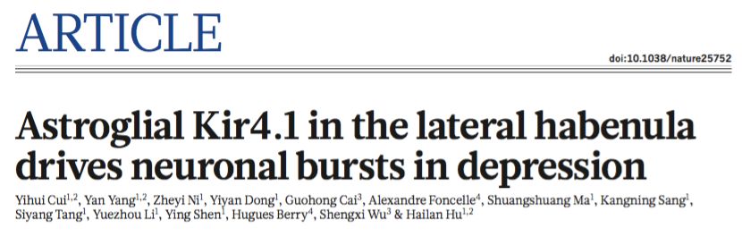 抑郁症最新科研成果,浙大nature发表论文