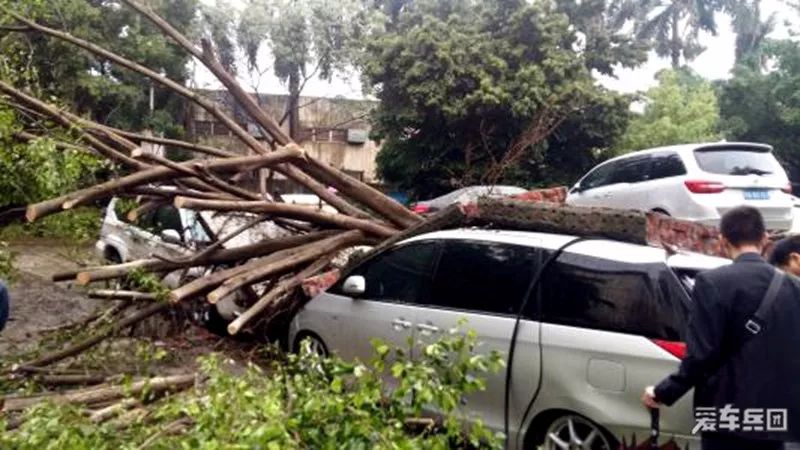 爱车被人划漆怎么办,爱车被划该报哪里