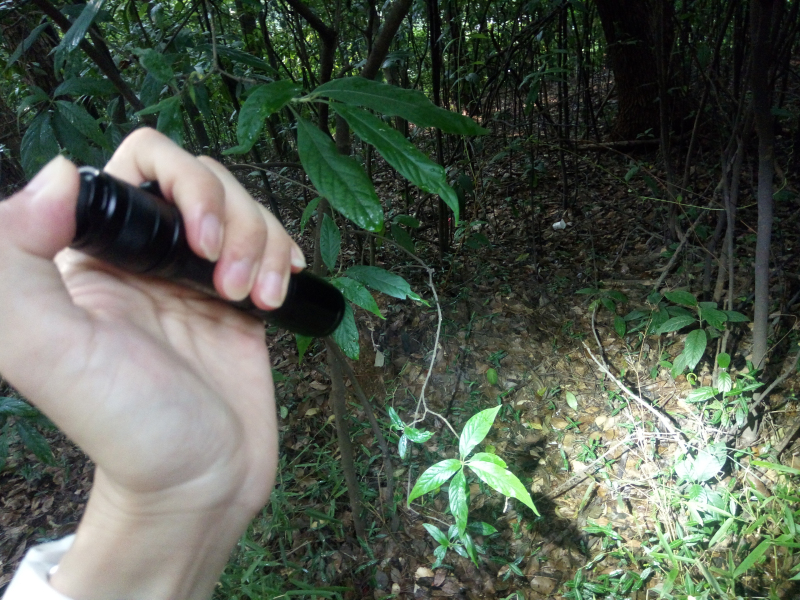 纳丽德强光手电筒测评,纳丽德e51与e52的区别