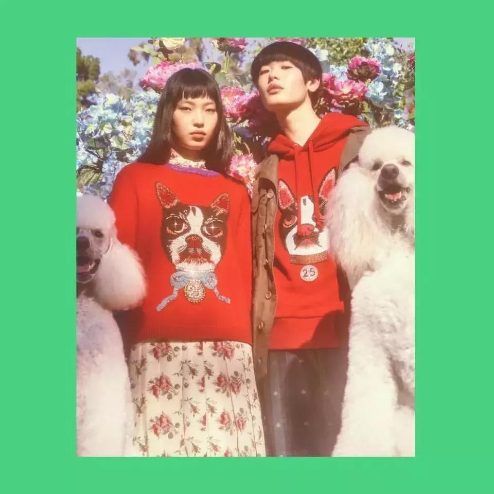 红双喜限定系列,红双喜限定八星