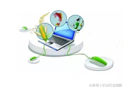 互联网农业创业技巧大全,农业互联网创业盈利的三种模式