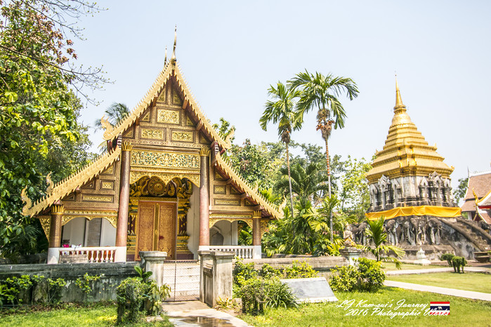 清迈佛寺之城等你采撷的泰北玫瑰,清迈环球旅行家