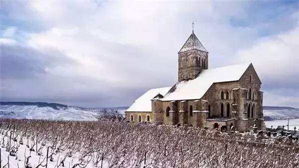 好看的玫瑰香槟图片,香槟金色美图大全