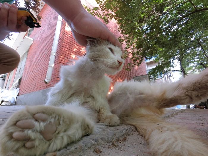 卡西欧fr100l和卡西欧fr100区别,卡西欧exfr10和fr100的区别