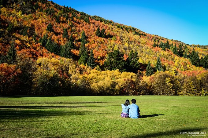 【NewZealand】说走就走，奔赴一场秋天的盛宴——新西兰任性10日游,更新中