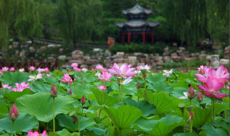 这样的房子你敢购买吗,这样的房子你敢买吗