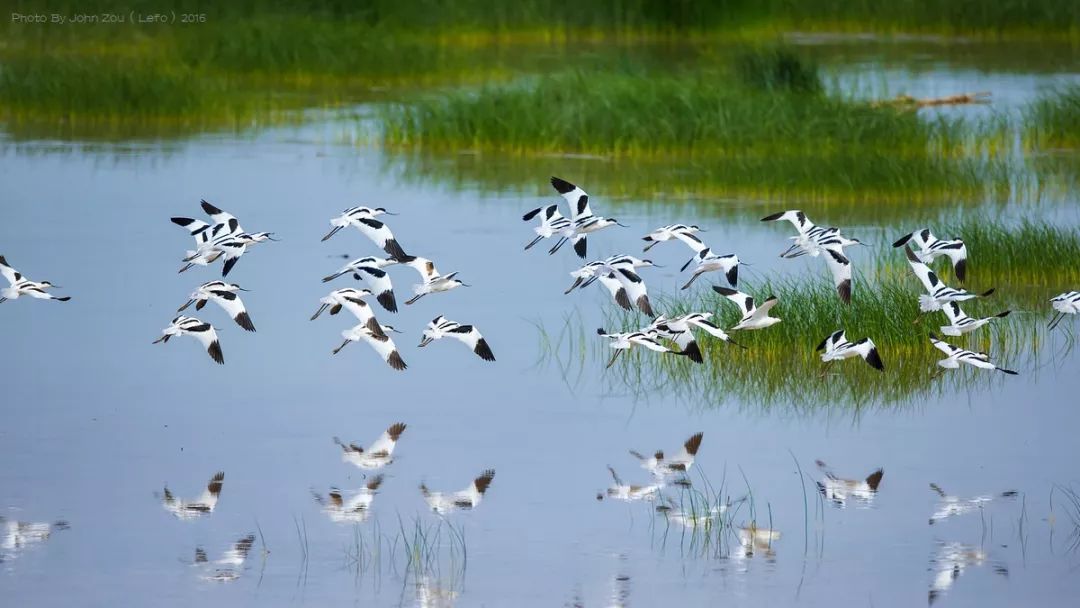 土著带你游东京,土著带你游重庆