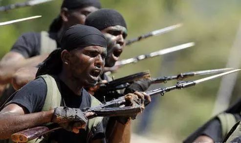 红海行动游戏里面的彩蛋,红海行动高端枪械