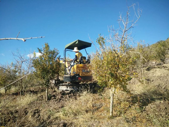 三一微挖最便宜的卖多少钱,三一18u微挖什么时候上市