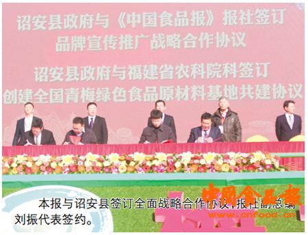 福建诏安：力推青梅品牌实现兴农富民