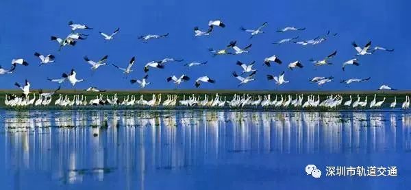 深圳始发高铁汇总,深圳高铁广东省内沿途风景