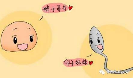 怀孕初期白带有什么现象,怀孕初期会有白带增多的现象吗