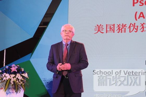 金宇伪狂犬疫苗什么毒株,金宇保灵c株伪狂犬疫苗