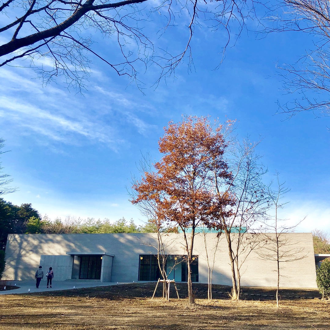 奥斯卡收视,奥斯卡历史收视率第一