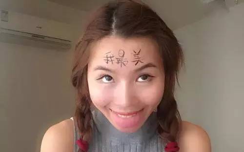 700年前的陶盘，猫认证