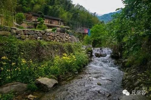 初夏,感受溪水的清凉,就去这几家溪畔民宿