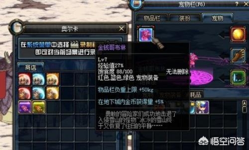 dnf十大最高逼格宠物,dnf历年颜值超高的宠物排行top6