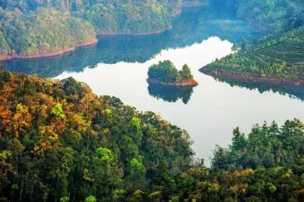 云南过大年,云南过大年怎么样的