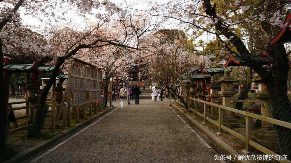 关晓彤鹿晗同游日本,鹿晗和关晓彤去日本旅行