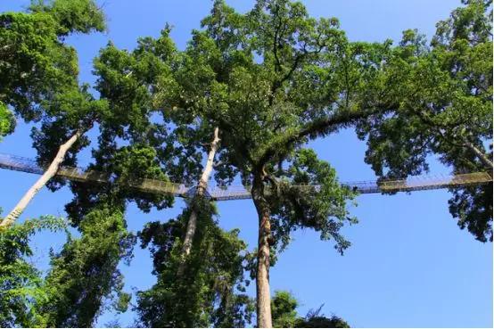 云南过大年,云南过大年怎么样的